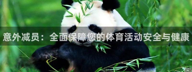 3377体育官方正版app集团简介:意外减员:全面保障您的体