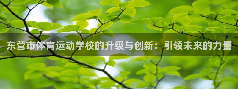 3377体育官方正版app集团简介:东营市体育运动学校的升级