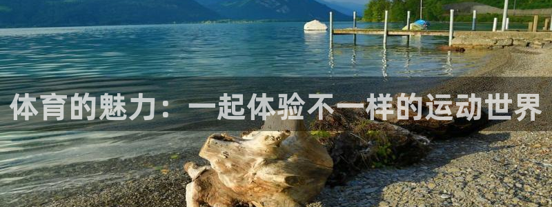 3377体育官方正版app娱乐:体育的魅力:一起体验不一样的