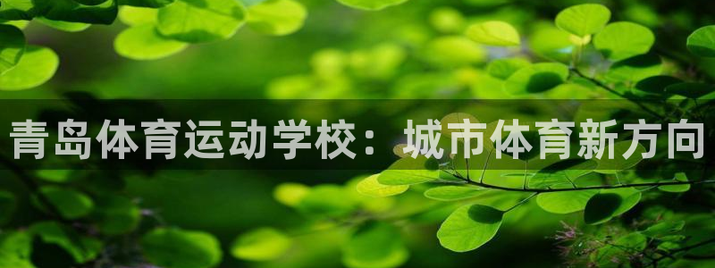 3377体育官网下载注册:青岛体育运动学校:城市体育新方向